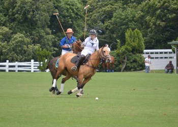 #artpolo at #arthamptons.