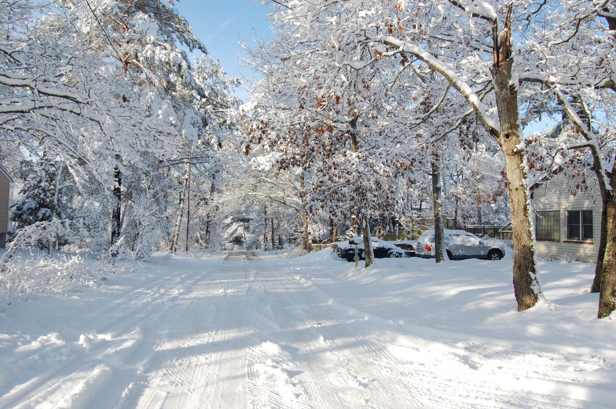 This is a lot of snow in Hampton Bays. Don't expect this much snow.