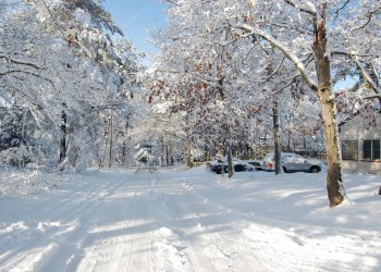 This is a lot of snow in Hampton Bays. Don't expect this much snow.