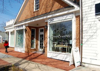 Vines & Branches in Southampton Village.