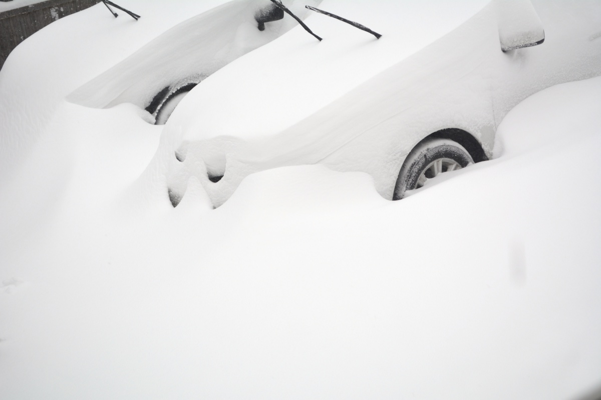 snowfall in eastport during the blizzard of 2015