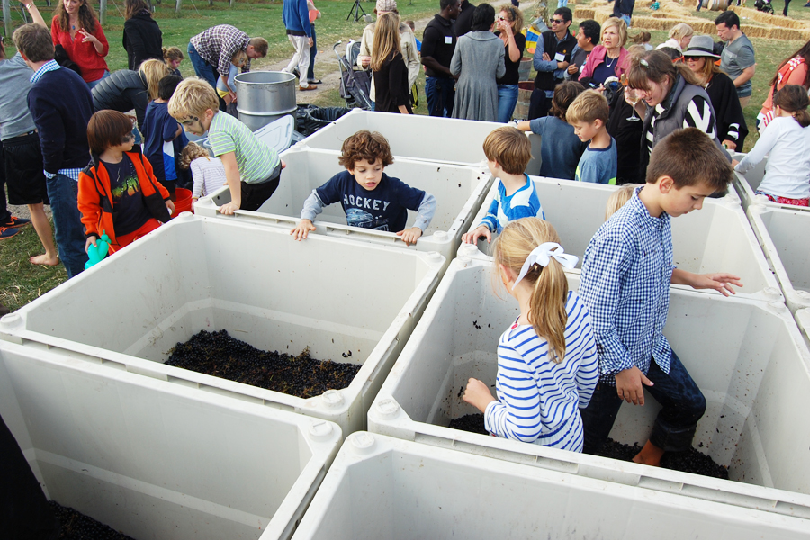 Kids stomp grapes at the Wölffer Harvest Party