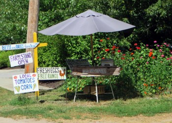 Bette and Dale's Farm Stand