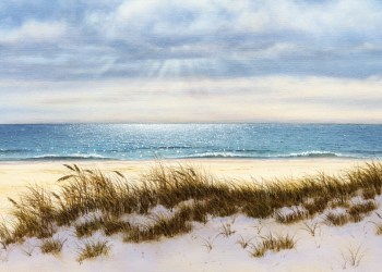 Detail of Daniel Pollera's June 19, 2015 cover art 