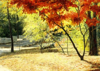 November 6, 2015 Dan’s Papers cover (detail) by Carol Gold