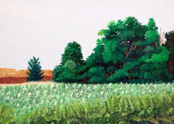 April 22, 2016 Dan's Papers Cover art, “Along Town Line Road,” (detail) by Elaine Karton