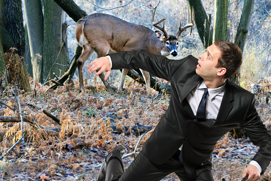 When deer fight back in the Hamptons