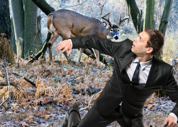 When deer fight back in the Hamptons