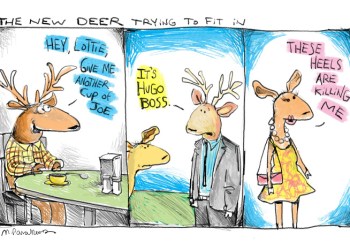 Deer smarts cartoon by Mickey Paraskevas