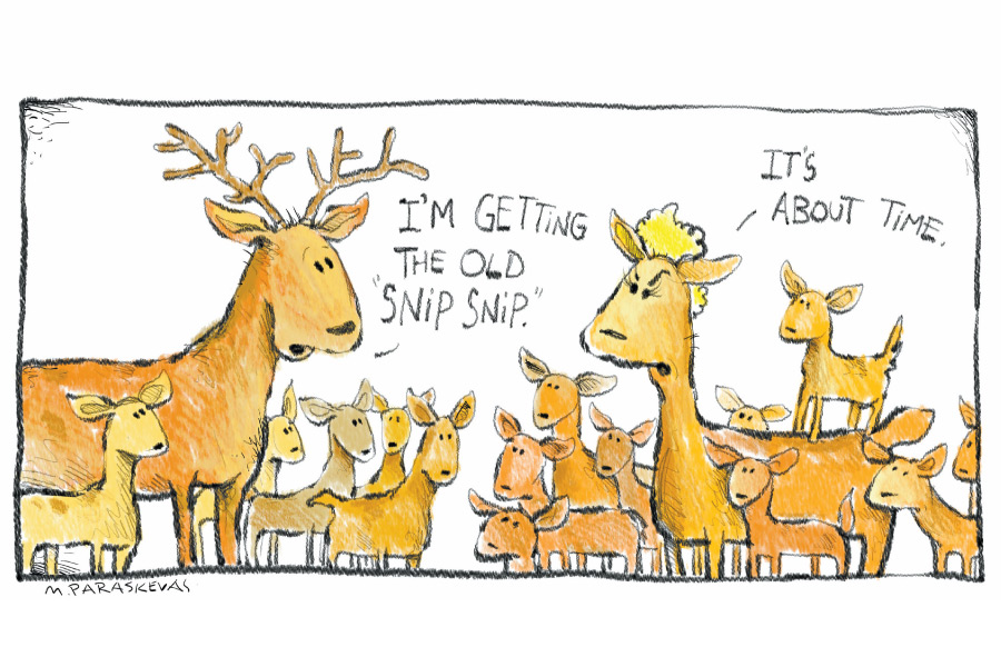 Deer spay cartoon by Mickey Paraskevas
