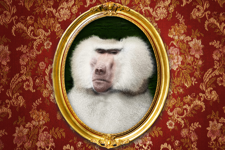 Derwood Hodgegrass' pet baboon and pal Terry will be missed