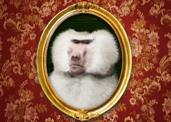 Derwood Hodgegrass' pet baboon and pal Terry will be missed