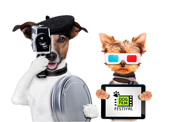 Dog Film Festival is coming to the Hamptons!