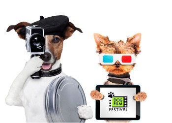 Dog Film Festival is coming to the Hamptons!