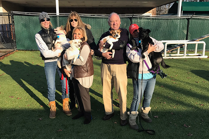 Yulin Meat Festival rescue dogs are thriving at Southampton Animal Shelter Foundation