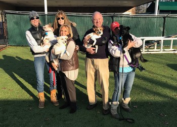 Yulin Meat Festival rescue dogs are thriving at Southampton Animal Shelter Foundation