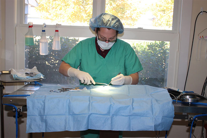 Dr. Asaro in surgery