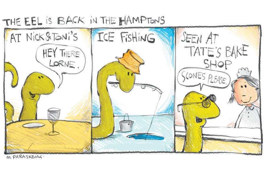 Great Ecuadorian Eel Cartoon By Mickey Paraskevas