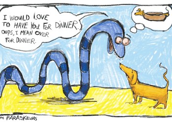 Eel cartoon by Mickey Paraskevas