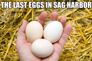 Mr. Sneiv Egg crisis in Sag Harbor