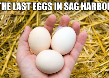 Mr. Sneiv Egg crisis in Sag Harbor