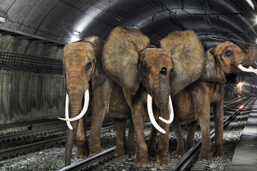 Elephants on the Hamptons Subway