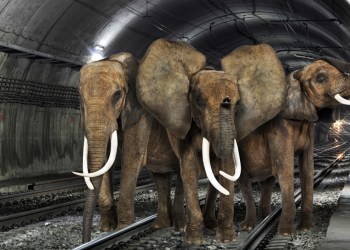 Elephants on the Hamptons Subway