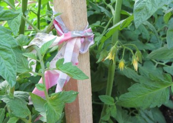 How it’s holding up?