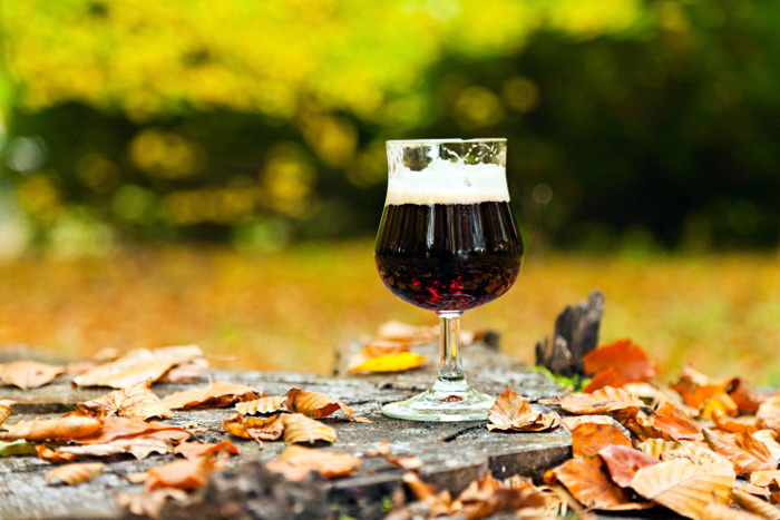 Fall dark beer in the leaves