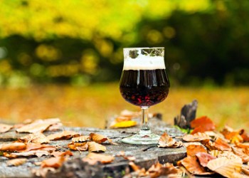 Fall dark beer in the leaves