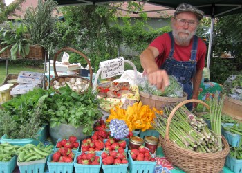 Dale Haubrich of Dale & Bette's Farm at the Sag Harbor Farmers Market