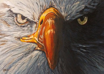 February 17, 2017 Dan's Papers cover art (detail) 