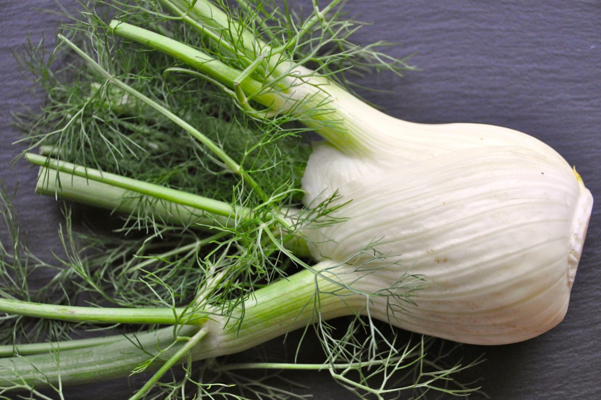 Embrace a fennel bulb today. Photo credit: bigstock.com