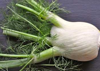 Embrace a fennel bulb today. Photo credit: bigstock.com