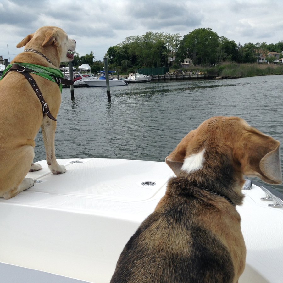 Cruising on Moriches Bay.