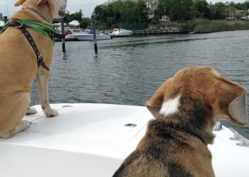 Cruising on Moriches Bay.