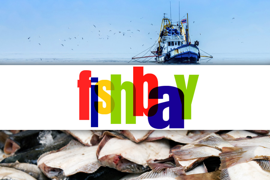 FishBay
