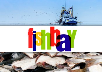 FishBay