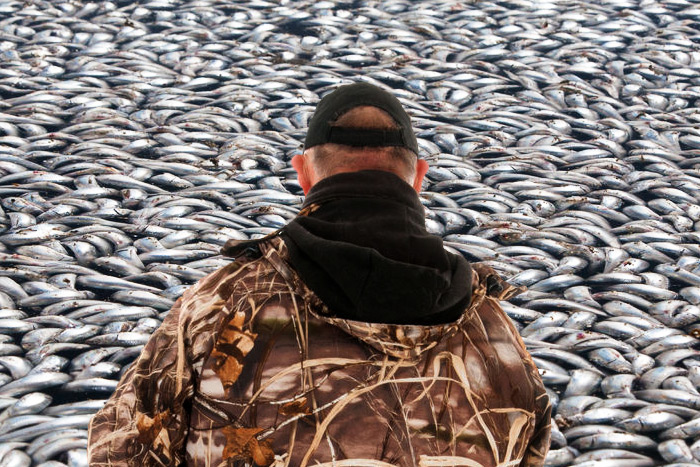 Reb Raymer was arrested for killing thousands of fish in Shinnecock Canal