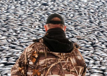 Reb Raymer was arrested for killing thousands of fish in Shinnecock Canal