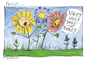 Flower Cartoon by Mickey Paraskevas