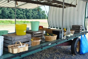 Honesty Box