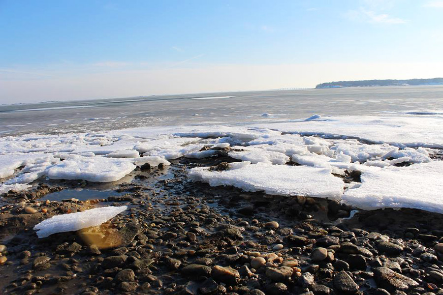 Frozen Shinnecock Bay