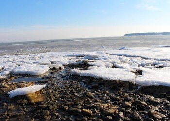Frozen Shinnecock Bay