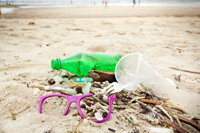 Celebrate Earth Day and help cleanup your Hamptons beaches at the Great Montauk Cleanup this Saturday, April 23