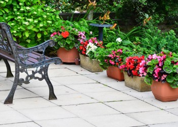 Plant flower pots the right way to avoid rot and other problems.