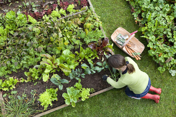 gardening