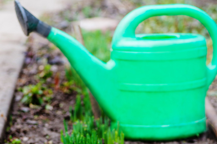 Gardening watering can