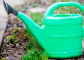 Gardening watering can