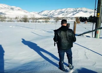 Christopher Garetano films 